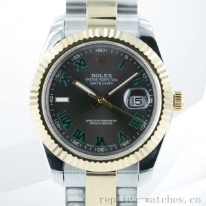 Rolex Datejust 36mm 116233GYRO Men's Silver-tone